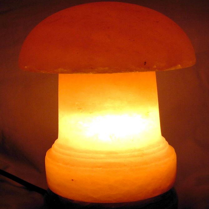MUSHROOM SALT LAMP (USB) Himalayan Salt Lamps Online Store