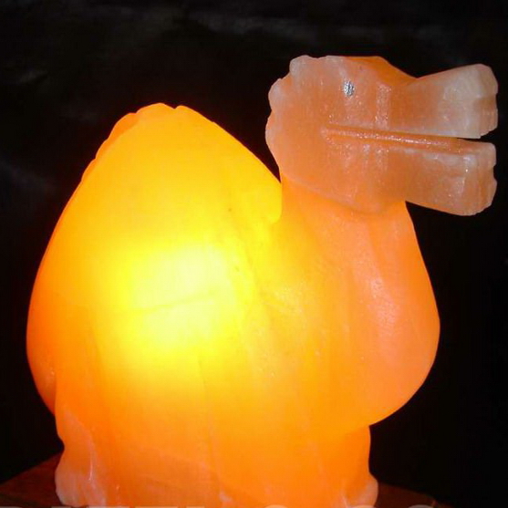 DINOSAUR SALT LAMP (USB) Himalayan Salt Lamps Online Store